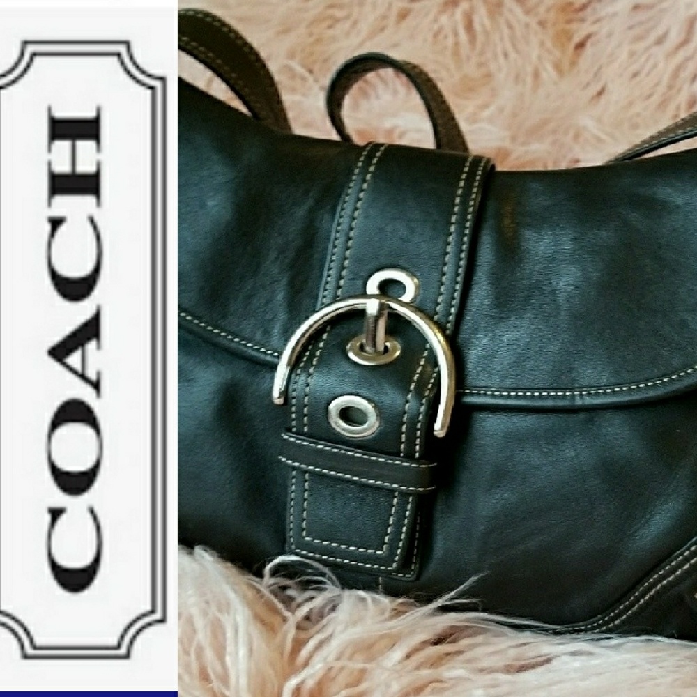 Coach  Luxury Leather Hobo